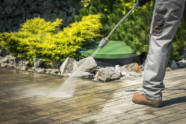 Professional Pressure Washing Services in Mountain Lodge Park, NY