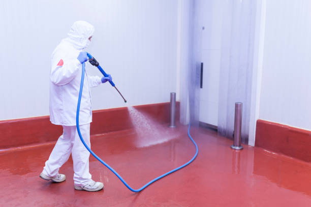 Best Pool Deck Cleaning  in Mountain Lodge Park, NY